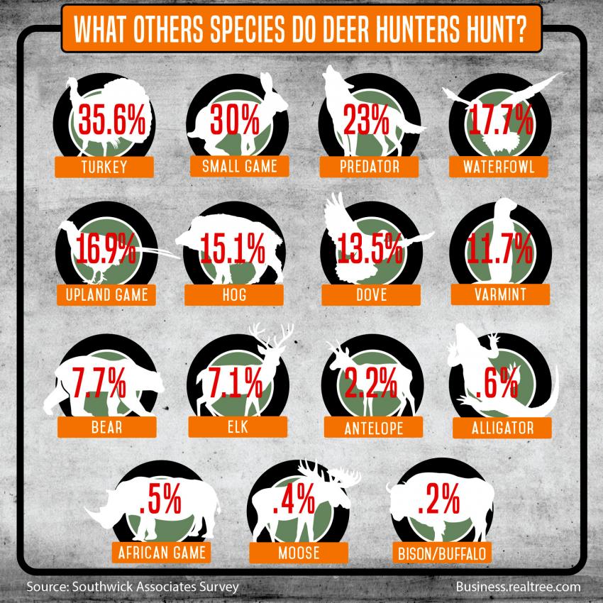 Other Species do Deer Hunters Hunt Infographic