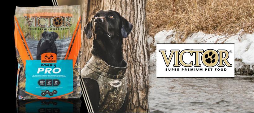 Best dog food for best sale hunting labs