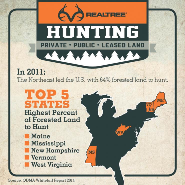 Hunting Land: Top States For Forested Land To Hunt | Realtree B2B