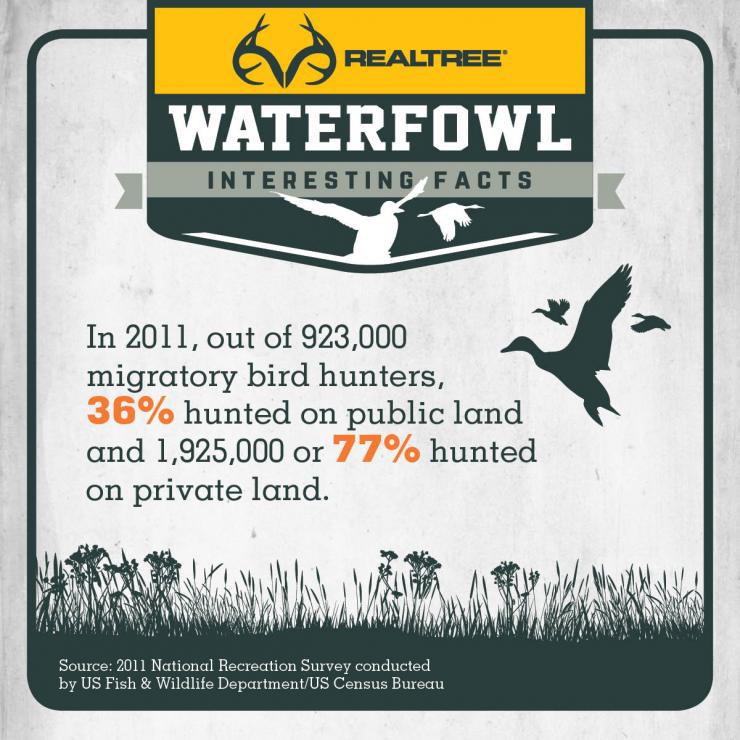 Waterfowl Facts: Public Land Vs. Private Land | Realtree B2B